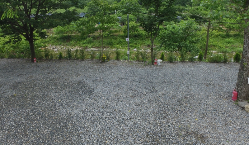 B6 포토